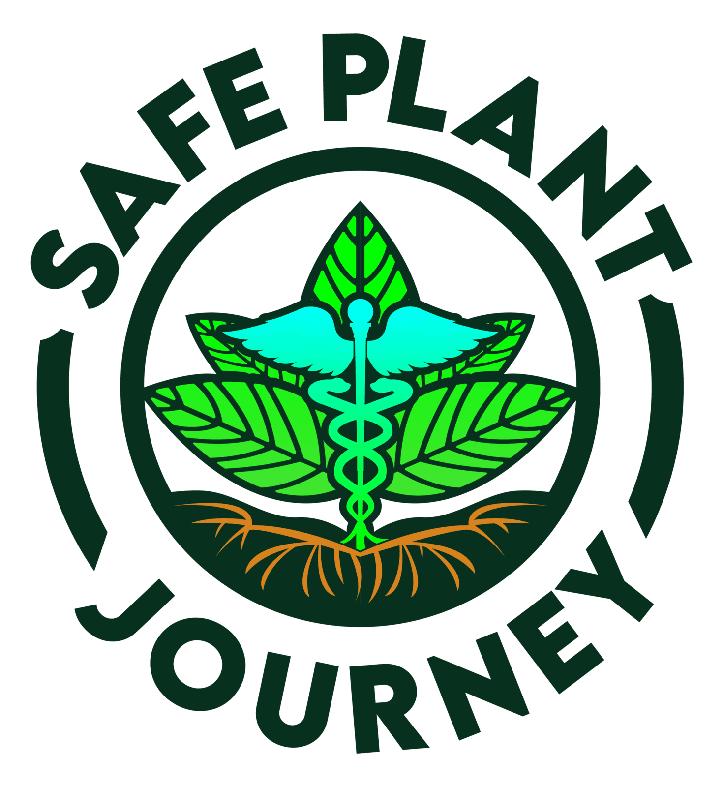 Safe Plant Journey